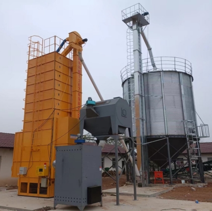 ���ռZʳ������a(ch��n)��(xi��n)���b�F(xi��n)��(ch��ng)